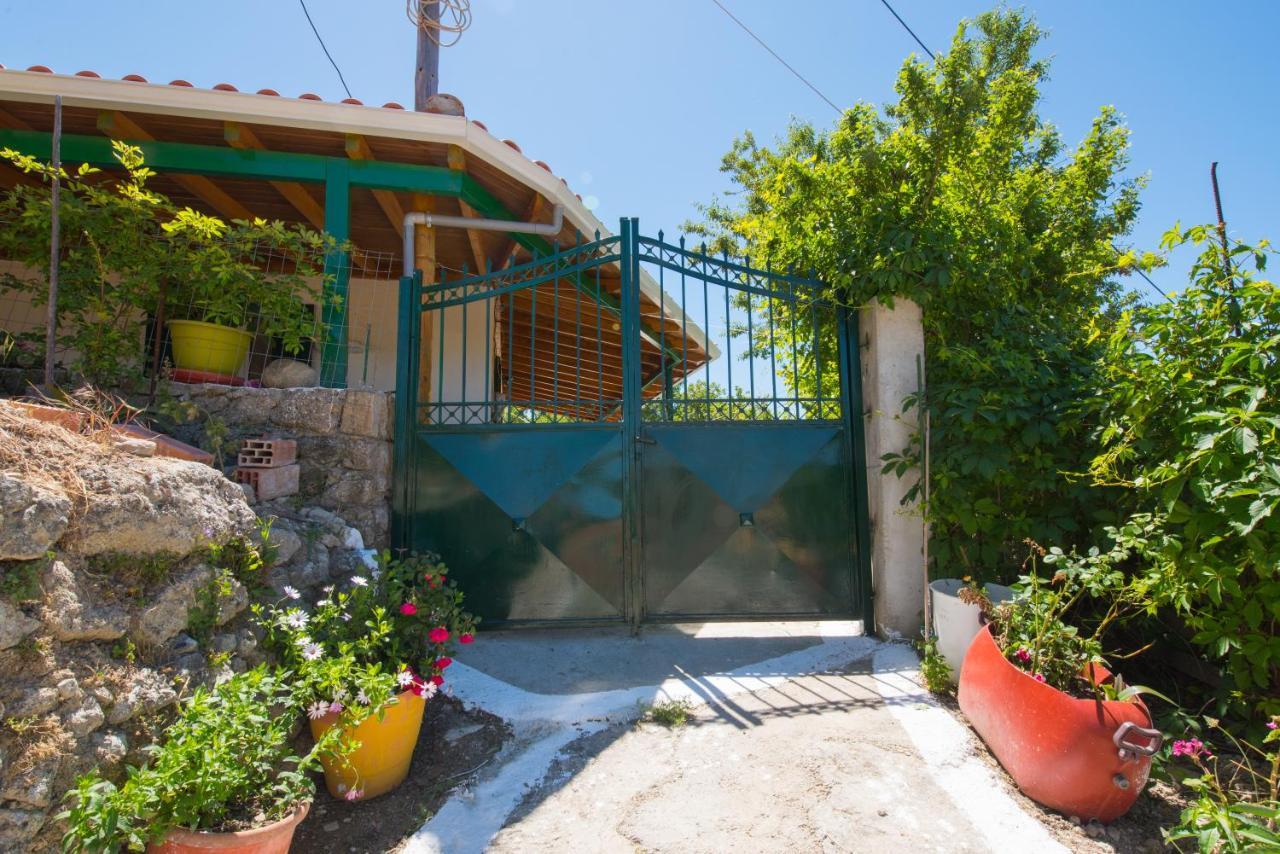 Basil & Guest House Lazaráta מראה חיצוני תמונה